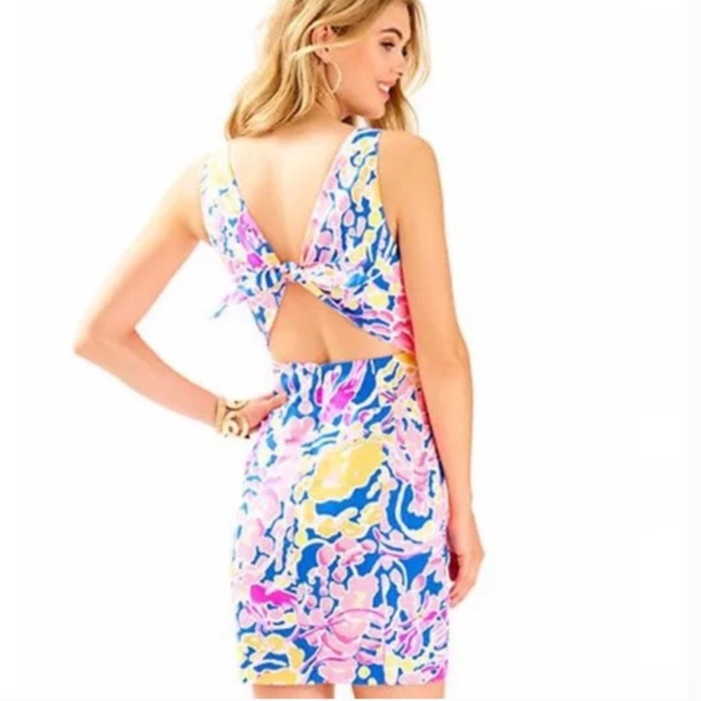 Lilly Pulitzer Courtney Dress Catch and Release - size 4